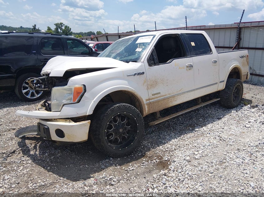 Vin: 1ftfw1et7bfd21809, lot: 46173750, ford f-150 platinum 20112