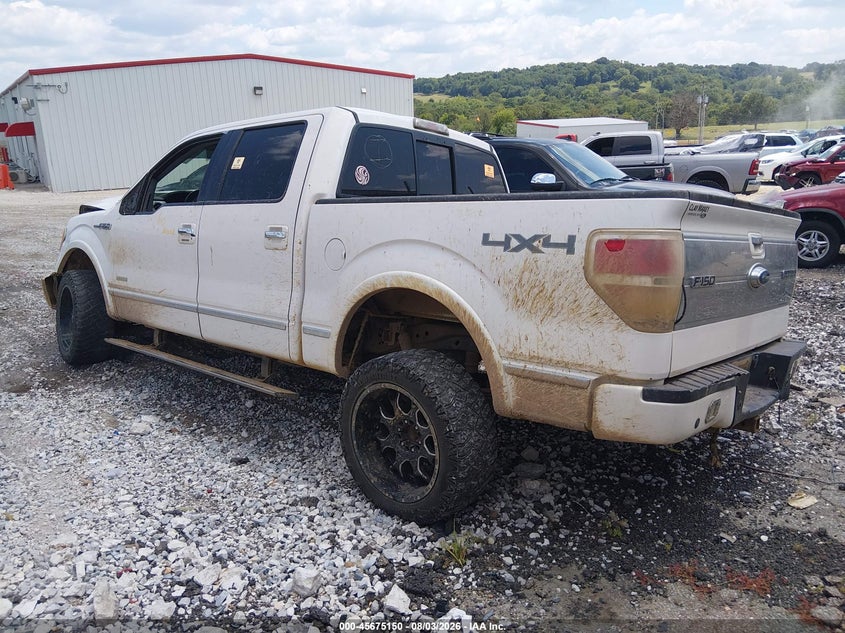 Vin: 1ftfw1et7bfd21809, lot: 46173750, ford f-150 platinum 20113