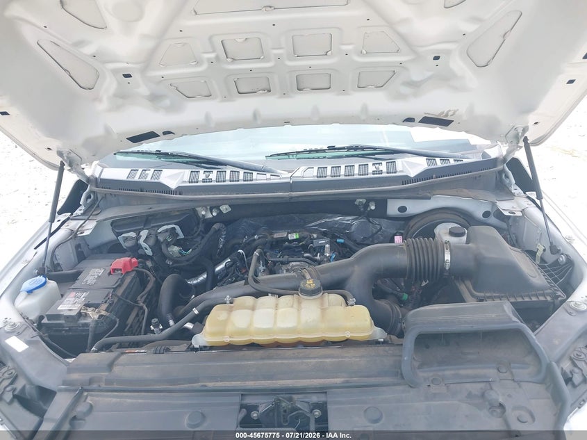 2019 Ford F-150 Xl VIN: 1FTEW1CP3KFD40164 Lot: 45675775
