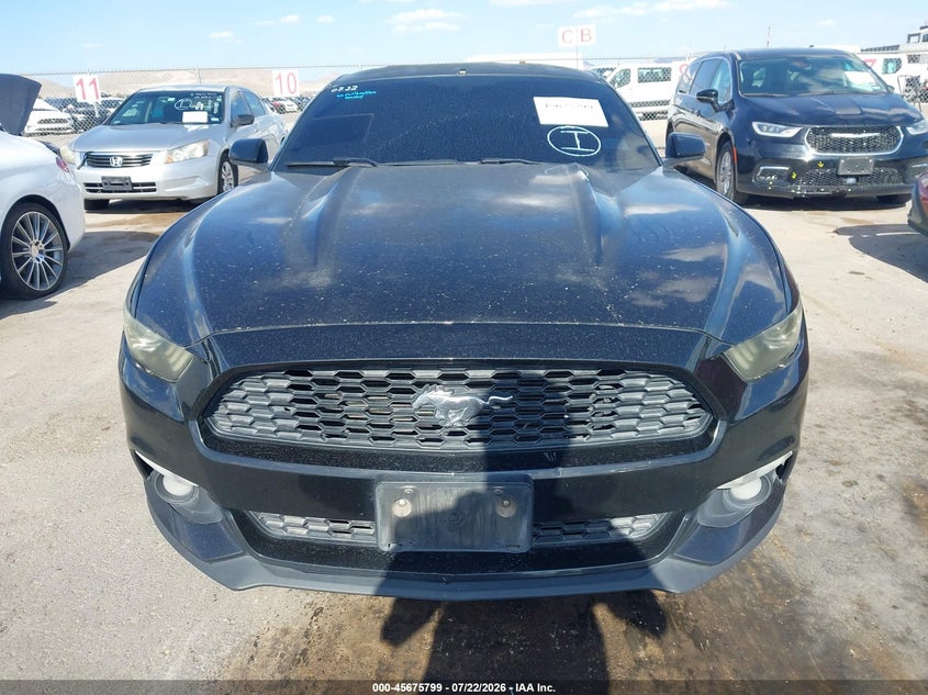 FORD MUSTANG - zdjęcie 12