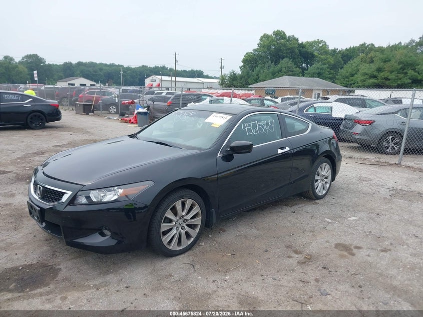 2010 HONDA ACCORD auction photo 2