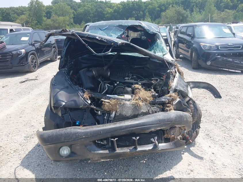 2004 Dodge Dakota Slt VIN: 1D7HG48N84S522610 Lot: 45675872