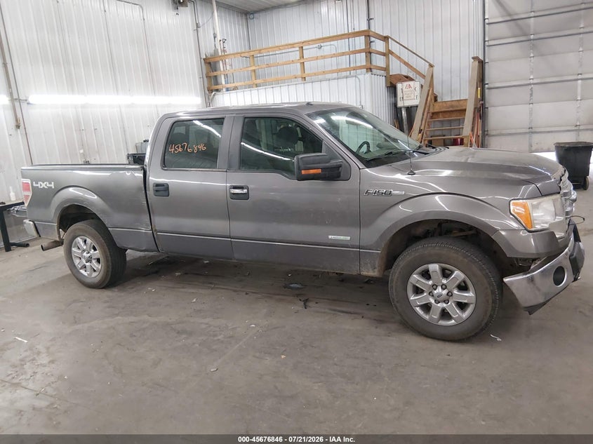 2013 Ford F-150 Xlt VIN: 1FTFW1ET8DKG50562 Lot: 45676846