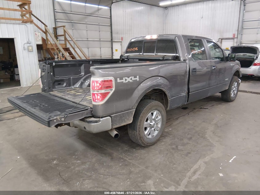 2013 Ford F-150 Xlt VIN: 1FTFW1ET8DKG50562 Lot: 45676846