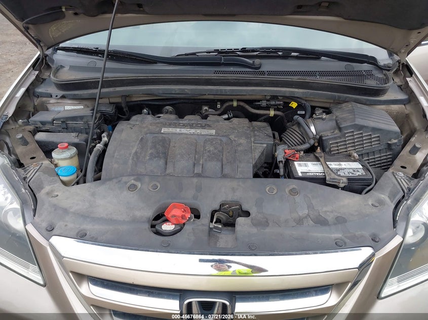 2007 Honda Odyssey Ex-L VIN: 5FNRL38667B444925 Lot: 45676864