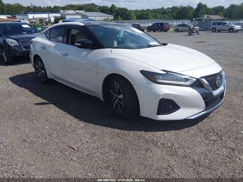 2019 Nissan Maxima 3.5 Sl VIN: 1N4AA6AV2KC377192 Lot: 45677433