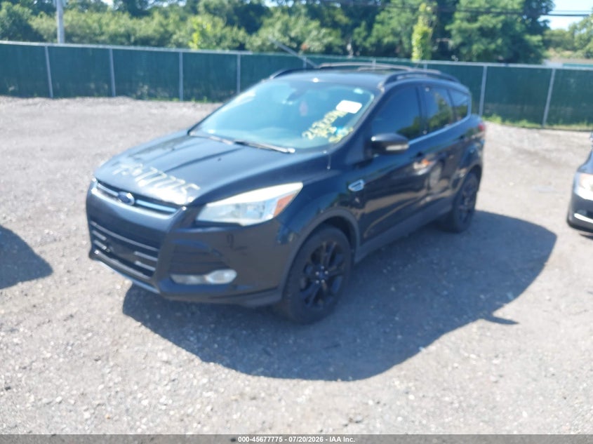 2013 Ford Escape, Left Side, IAAI, VIN 1FMCU0HXXDUD65380 — photo 2