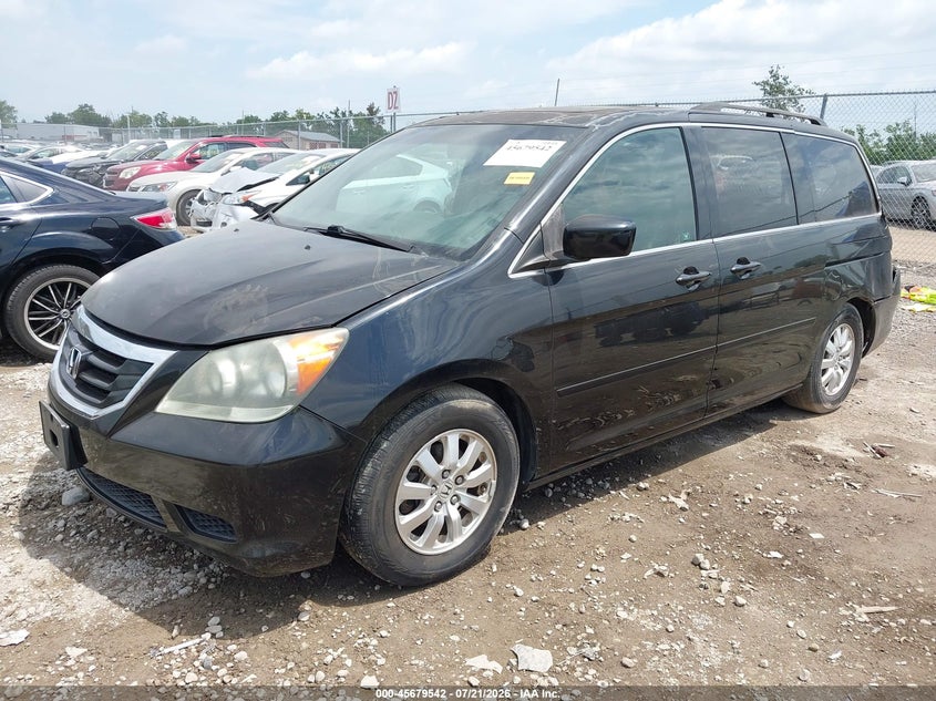 2010 Honda Odyssey Ex-L VIN: 5FNRL3H68AB034926 Lot: 45679542