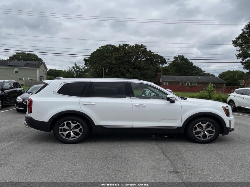 2020 Kia Telluride Ex VIN: 5XYP3DHCXLG012960 Lot: 45681471