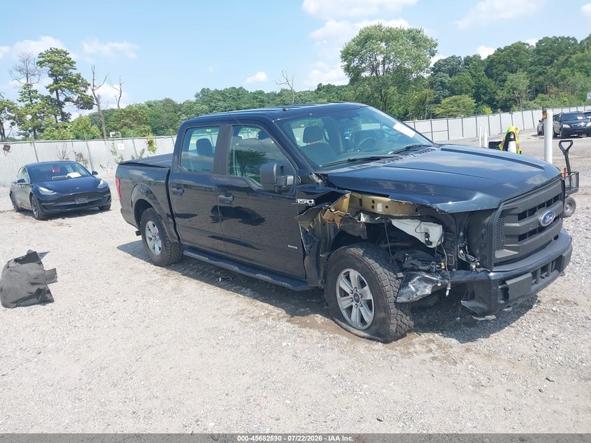 Vin: 1ftew1ep7gkf74917, lot: 46181199, ford f-150 xl 2016 img_1