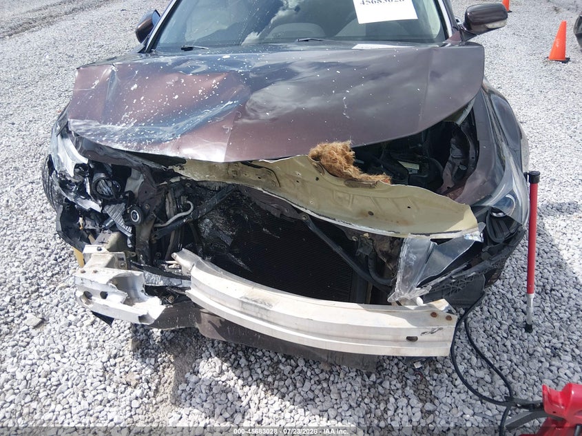 2011 ACURA TL auction photo 6