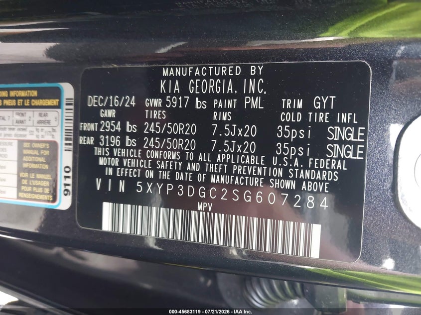 2025 Kia Telluride Ex VIN: 5XYP3DGC2SG607284 Lot: 45683119