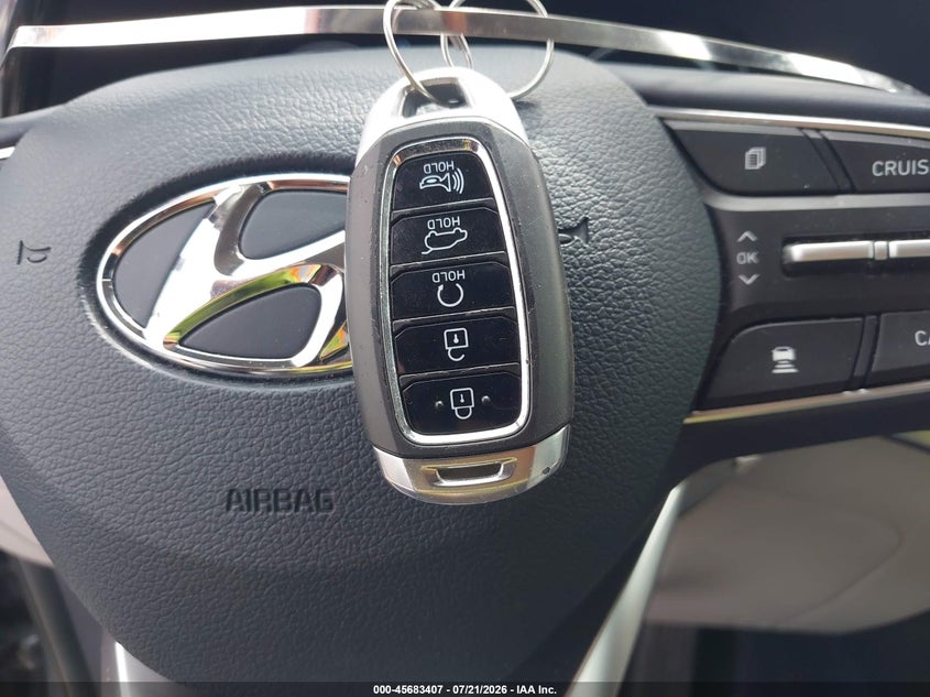 2021 Hyundai Palisade Limited VIN: KM8R5DHE5MU290682 Lot: 45683407