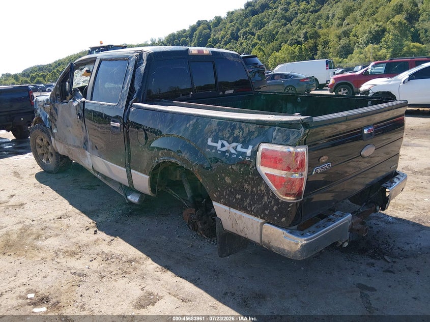 Vin: 1ftfw1ef7bfc87977, lot: 46182570, ford f-150 xlt 20113