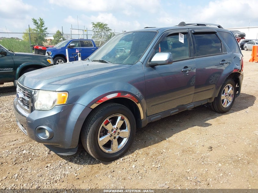2011 Ford Escape Limited VIN: 1FMCU0EGXBKA25904 Lot: 45684549
