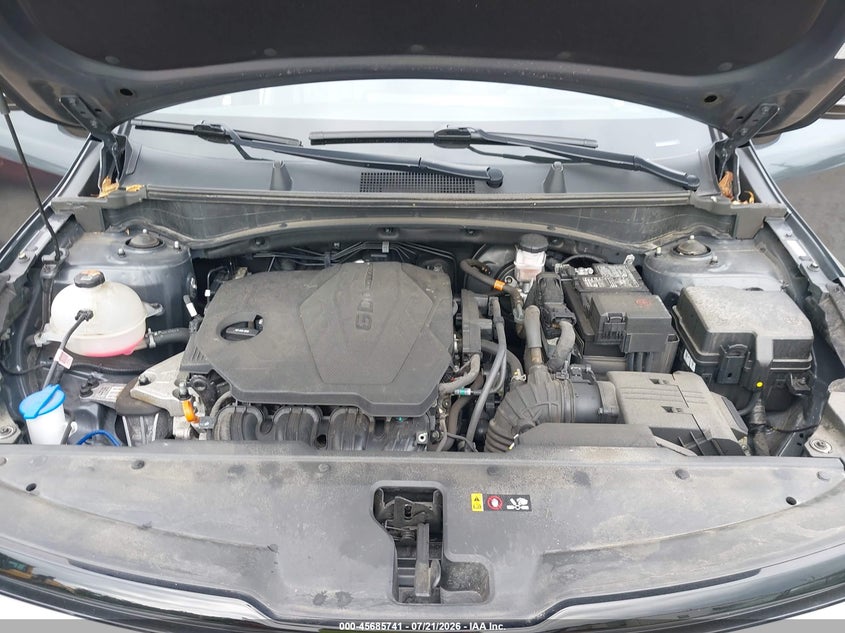 2023 Kia Sportage X-Line VIN: 5XYK6CAFXPG092444 Lot: 45685741