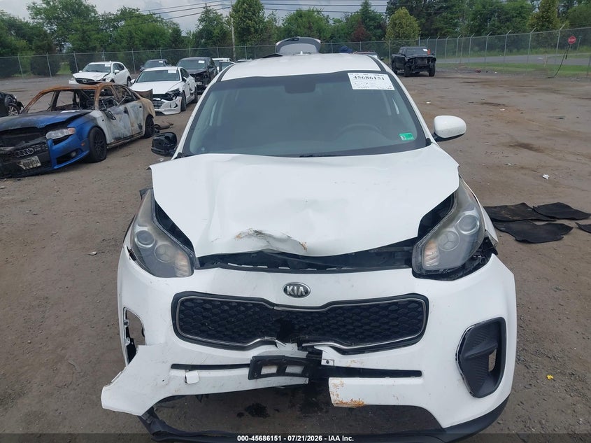 2017 Kia Sportage Lx VIN: KNDPM3AC1H7041141 Lot: 45686151