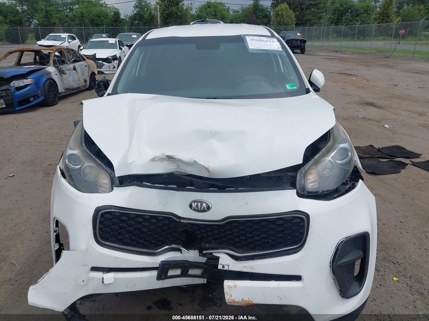 2017 Kia Sportage Lx VIN: KNDPM3AC1H7041141 Lot: 45686151