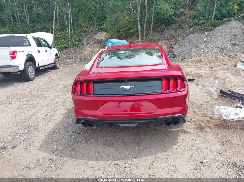 FORD MUSTANG - zdjęcie 17
