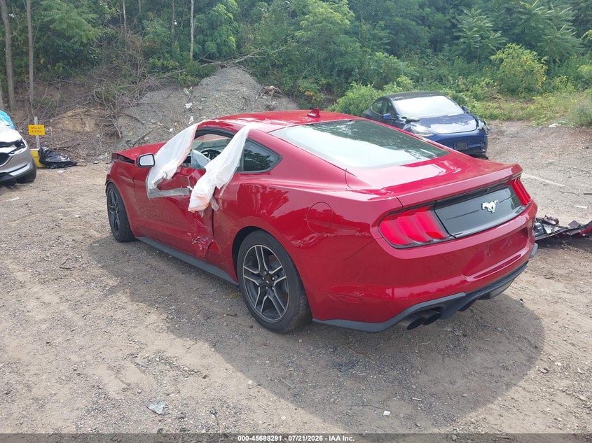 FORD MUSTANG - zdjęcie 3