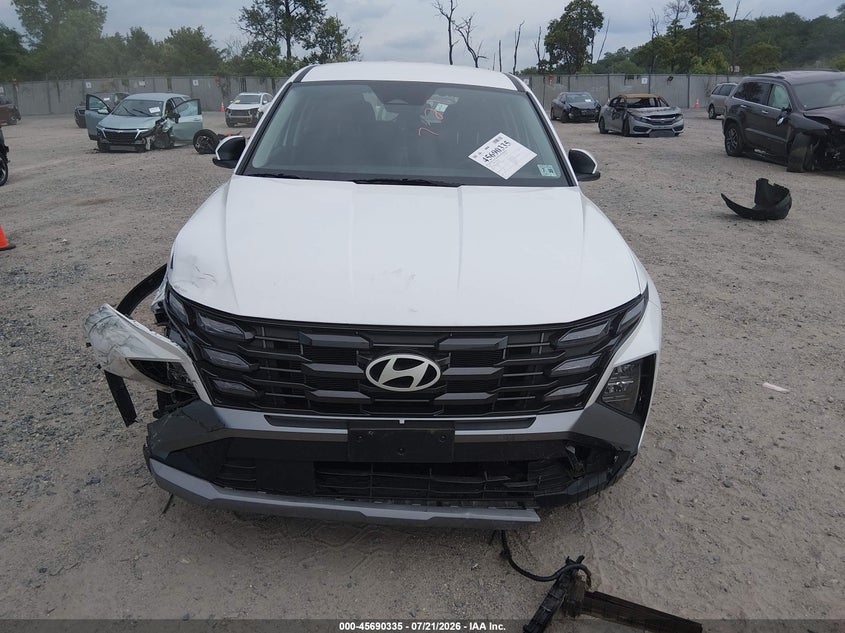 2025 Hyundai Tucson Se VIN: 5NMJACDE8SH540613 Lot: 45690335