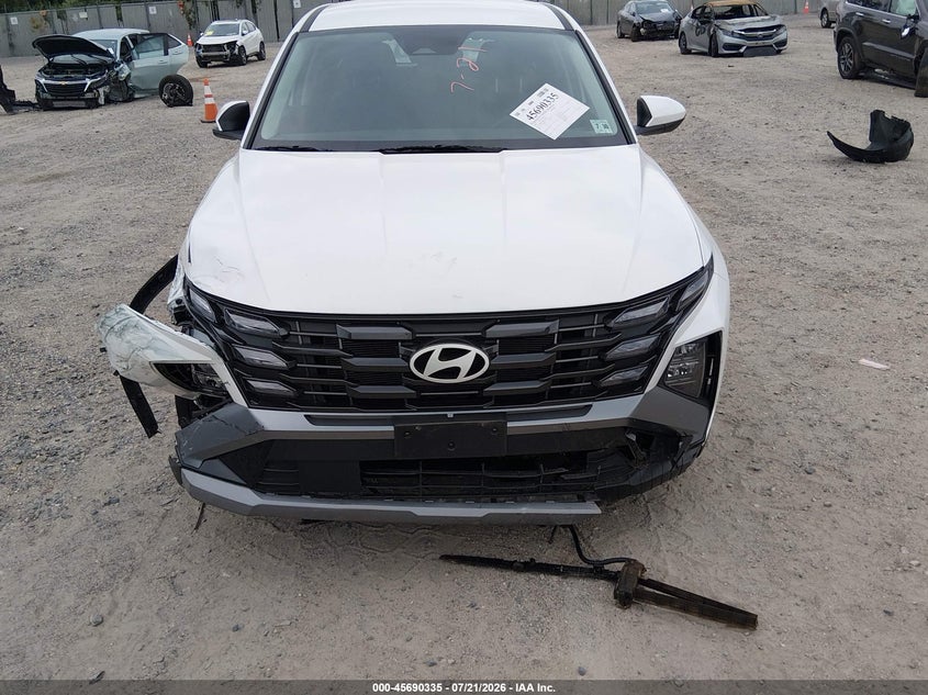 2025 Hyundai Tucson Se VIN: 5NMJACDE8SH540613 Lot: 45690335