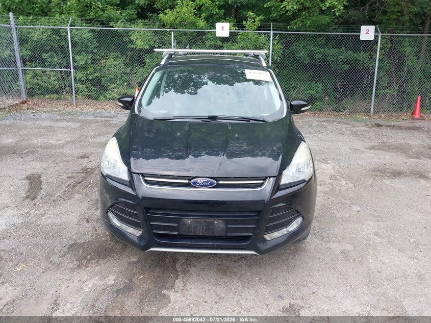 AtlanticExpress - Ford Escape
