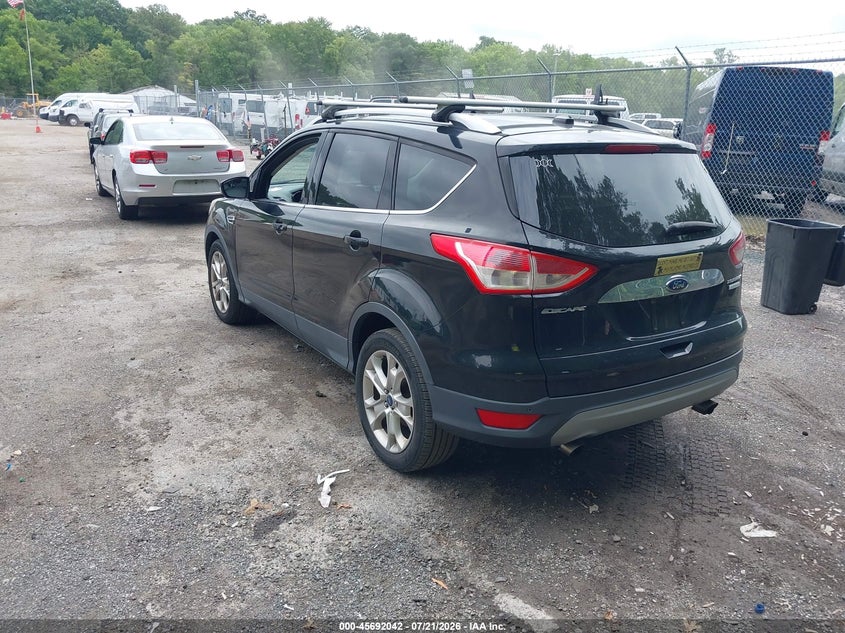 AtlanticExpress - Ford Escape