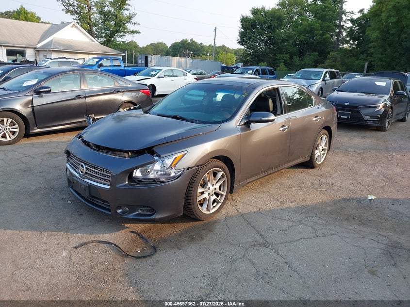 Vin: 1n4aa5apxac862254, lot: 46195990, nissan maxima 3.5 sv 20102