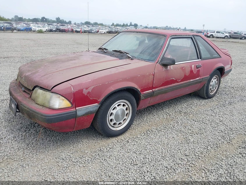 1991 Ford Mustang, Звичайний знос, IAAI, VIN 1FACP41M9MF174417 — фото 2