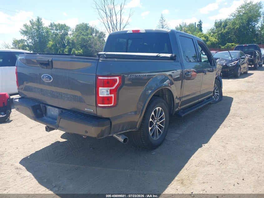 Vin: 1ftew1ep2kfb61997, lot: 46198209, ford f-150 xlt 20194
