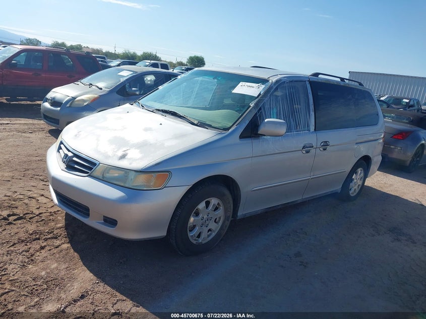 2002 Honda Odyssey, Обычный износ, IAAI, VIN 5FNRL18062B035283 — фото 2