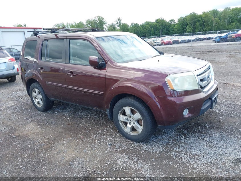 Vin: 5fnyf4h55bb035582, lot: 46202328, honda pilot ex-l 2011 img_1