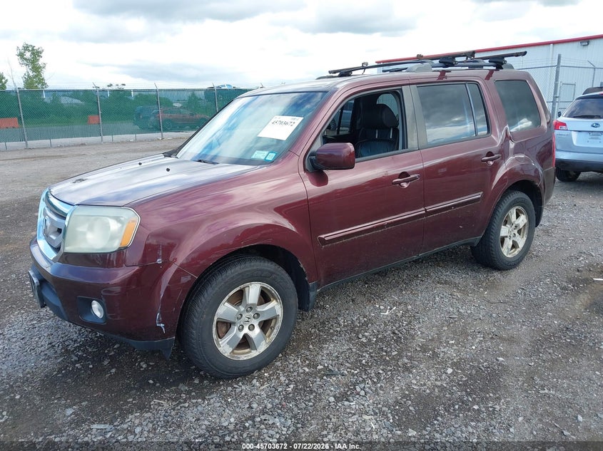 Vin: 5fnyf4h55bb035582, lot: 46202328, honda pilot ex-l 20112