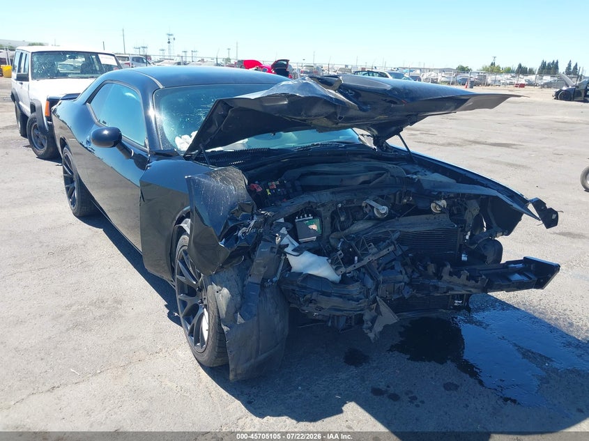 Vin: 2c3cdzag1kh750995, lot: 46203761, dodge challenger sxt 2019 img_1