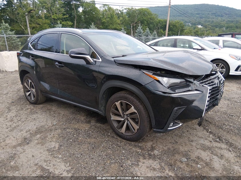 Vin: jtjbarbz5k2196401, lot: 46203996, lexus nx 300 2019 img_1