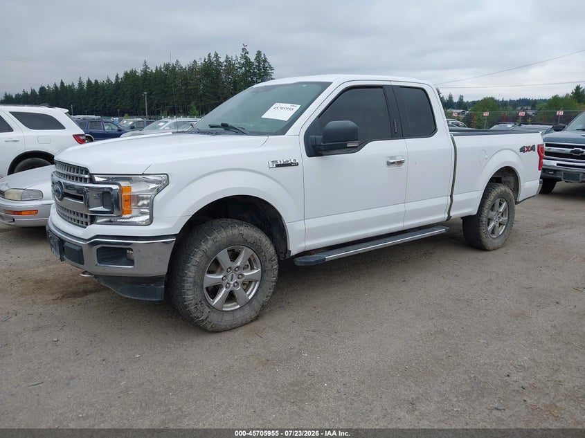 2019 FORD F-150 PICKUP 5.0L V8 FI DOHC 32V NF4