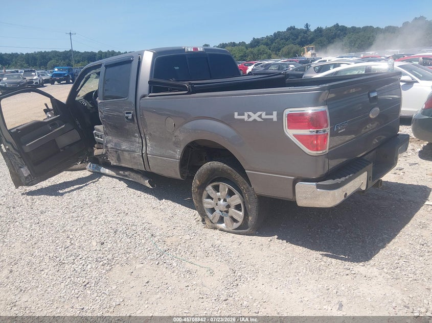 Vin: 1ftfw1et1bfb20049, lot: 46207498, ford f-150 xlt 20113