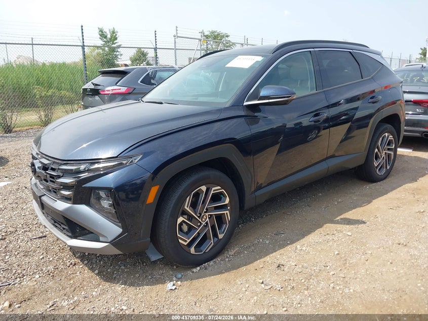 Vin: km8jedd12su383608, lot: 46207991, hyundai tucson hybrid limited 20252