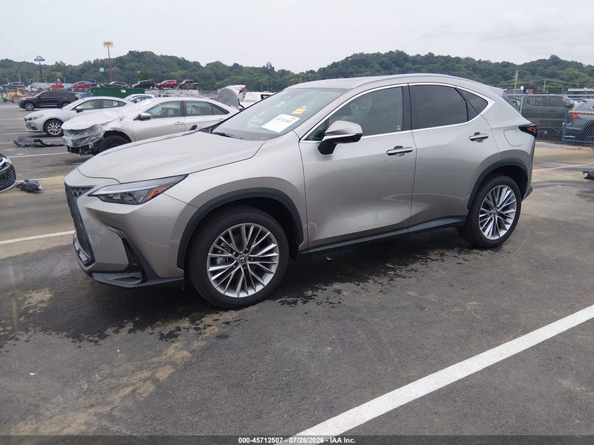 2025 LEXUS NX 350 — zdjęcie 2