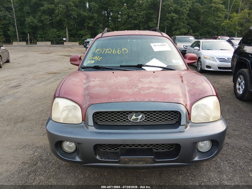 2003 HYUNDAI SANTA FE auction photo 6