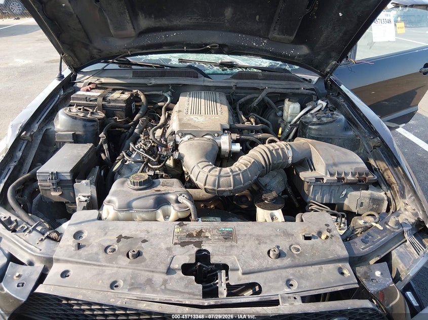 FORD MUSTANG 2009 VIN 1ZVHT82H495128315