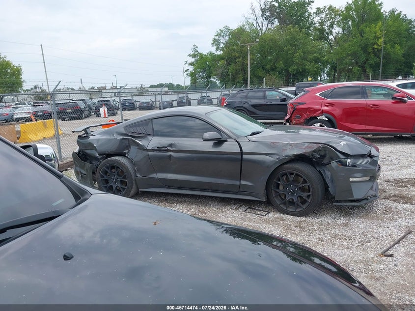 FORD MUSTANG 2019 VIN 1FA6P8TH2K5134073