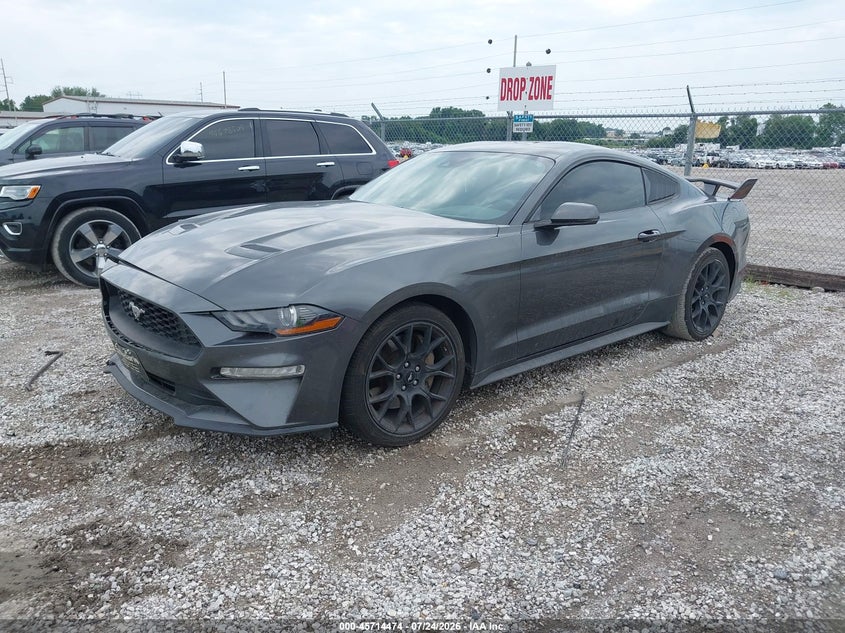 FORD MUSTANG 2019 VIN 1FA6P8TH2K5134073