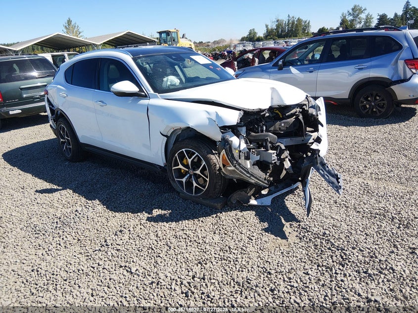 2019 ALFA ROMEO STELVIO auction photo 1