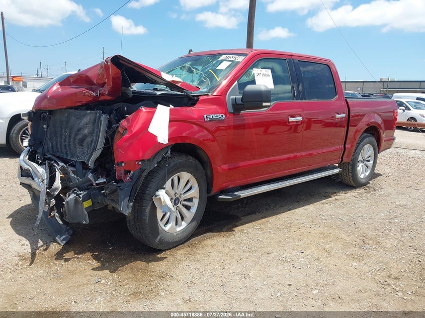 Vin: 1ftew1cp5kkc10006, lot: 46217568, ford f-150 xlt 20192