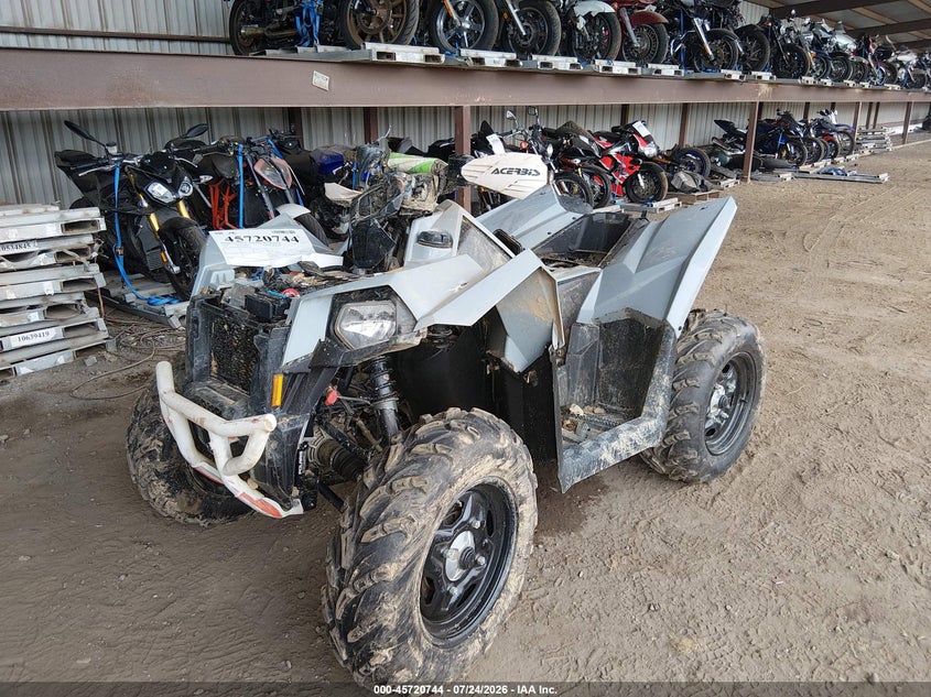 POLARIS SCRAMBLER 2024