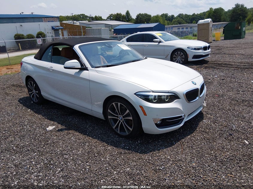 Vin: wba2k1c54k7d55960, lot: 46224093, bmw 230i xdrive 2019 img_1