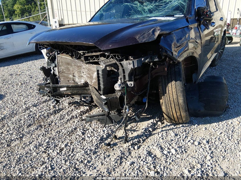 2024 HYUNDAI PALISADE auction photo 6