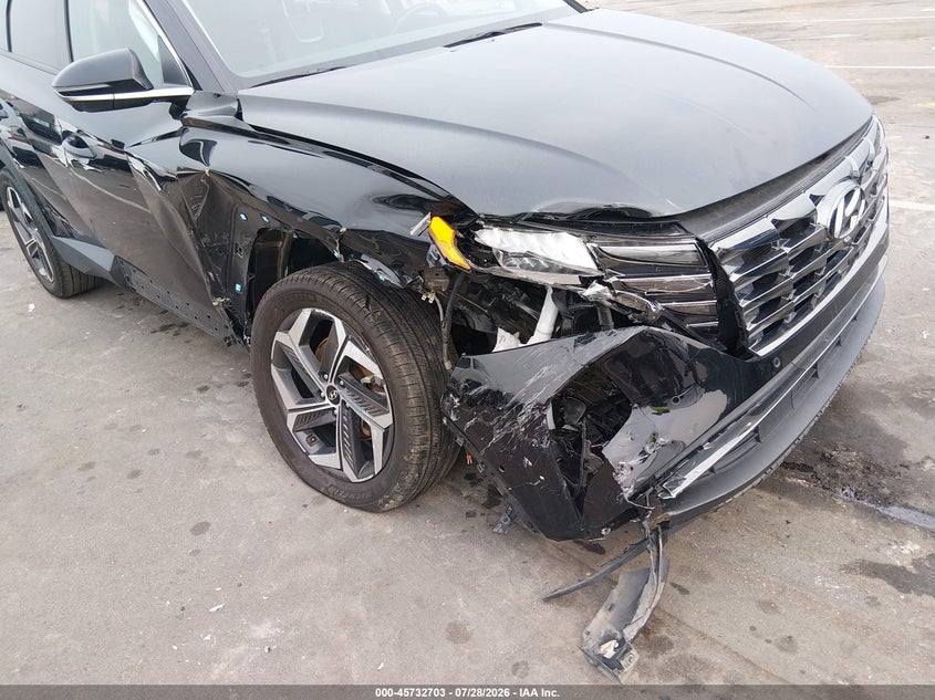 HYUNDAI TUCSON 2024 VIN 5NMJECDEXRH355459